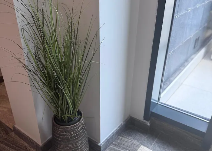 Hotel Eforie Nord Hotel