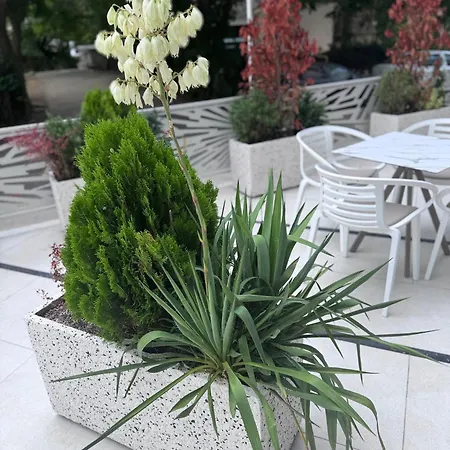 Hotel Eforie Nord מלון