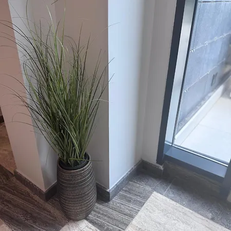 Hotel Eforie Nord מלון